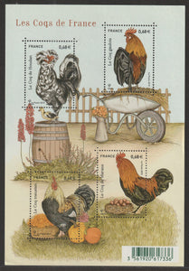 2015 France Roosters of France MS - Hen #FOR-1448