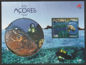 2016 Azores Tourism - Certified Azores by Nature MS - Scuba Diving, Turtle, Fishes, Coral Marine Life #FOR-1515