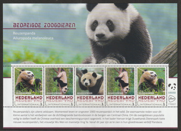 Nederland Panda MS #FOR-1569