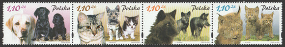 2002 Poland Mammals and Their Kittens Set of 4 MNH #FOR-1598