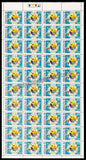 1999 India Technology Day Full Sheet of 40 Stamps