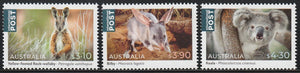 2023 Australia Native Animals Set of 3 - Wallaby, Bilby, koala #FOR-1758