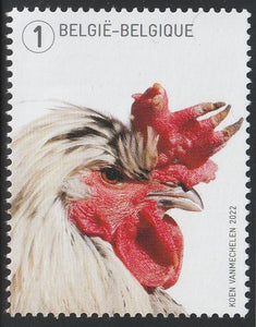 2022 Belgium Birds - Rooster #FOR-1854