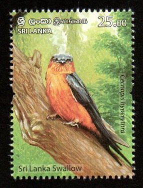 2021 Sri Lanka Endemic Birds of Sri Lanka - Swallow MNH #SL-1942