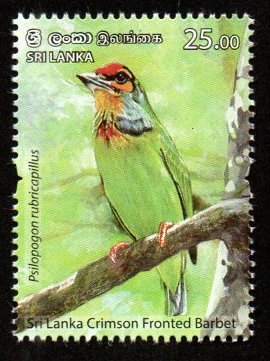 2021 Sri Lanka Endemic Birds of Sri Lanka - Crimson Swallow Barbet MNH #SL-1943