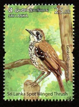 2021 Sri Lanka Endemic Birds of Sri Lanka - Spot Winged Thrush MNH #SL-1944