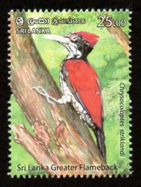 2021 Sri Lanka Endemic Birds of Sri Lanka - Greater Flameback MNH #SL-1945