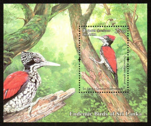 2021 Sri Lanka Endemic Birds of Sri Lanka - Greater Flameback MS #SL-1945