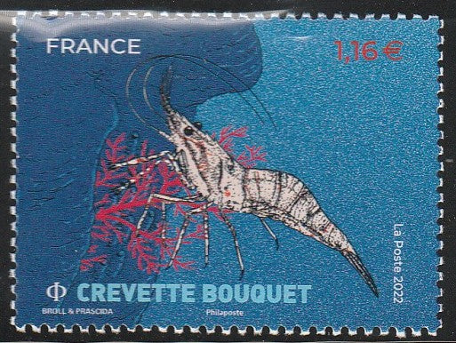 2022 France Marine Life - Mollusks and Crustaceans (Crevette Bouquet)- Shrimp #FOR-199