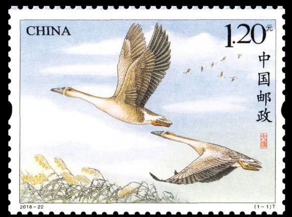 2018 China Birds - Wild Goose MNH #CHN-5089