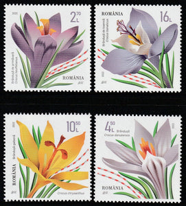 2022 Romania Flowers - Crocuses Set of 4 MNH #FOR-634