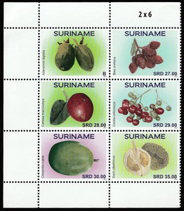 2021 Suriname Fruits MNH #FOR-863