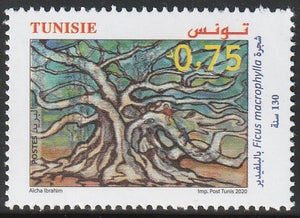 2020 Tunisia The 130th Anniversary of the Ficus Macrophylla at Belvedere Park MNH #FOR-934