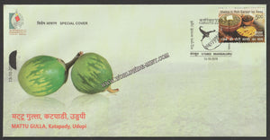 2019 KARNAPEX Mattu Gulla, Katapady ,Udupi Special Cover #SPL-190