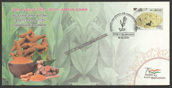 2022 Chamarajanagar Turmeric Special Cover #SPL-374