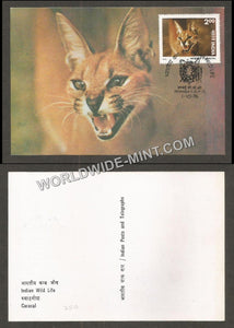 1976 Indian Wild Life - Caracal Maxim card #MC101