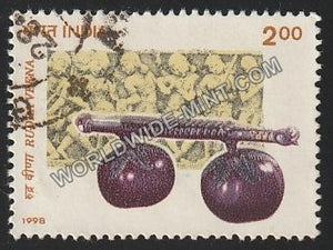 1998 Indian Musical Instruments-Rudra Veena Used Stamp