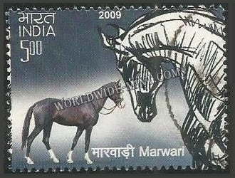 2009 Horses of India - Marwari Used Stamp