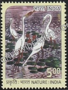 2017 Nature India-Crane MNH