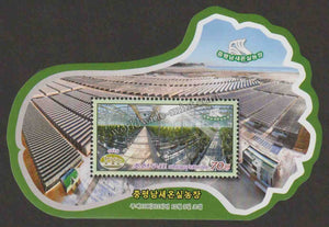 2020 North Korea - Greenhouse Vegetable Farm Odd Shaped MS #NK-5264